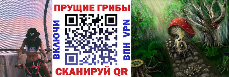 Галлюциногенные грибы Magic Shrooms  Мензелинск 